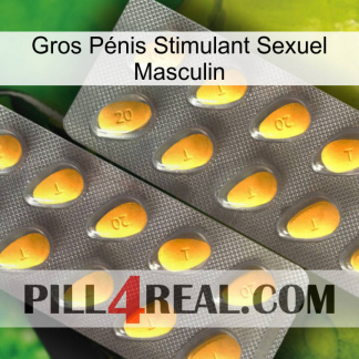 Gros Pénis Stimulant Sexuel Masculin cialis2